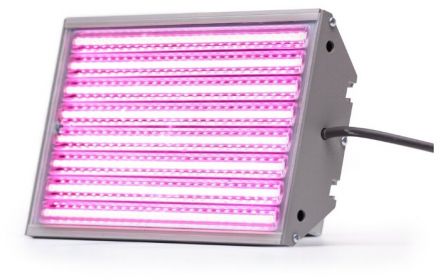 Фитосветильник 30W Lisma Module M2 U Phyto F