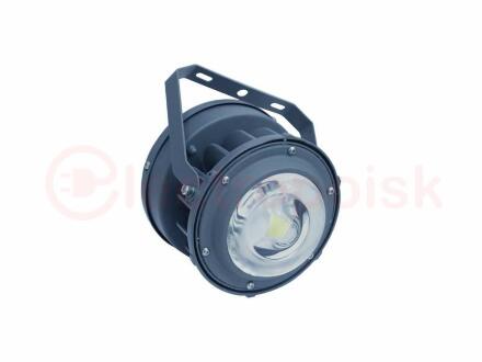 Светильник ACORN LED 30 D150 5000K with tempered glass Ex