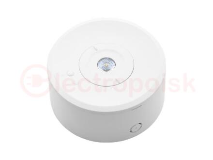 Светильник светидиодный ORBIT 6500-2 LED