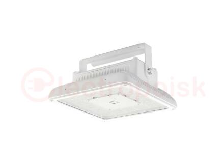 Светильник светодиодный INSEL LB/S LED 120 D60 5000K G2